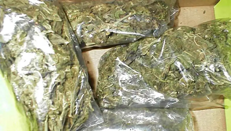 В Алматинской области служебная собака обнаружила в пассажирском автобусе 110 кг марихуаны