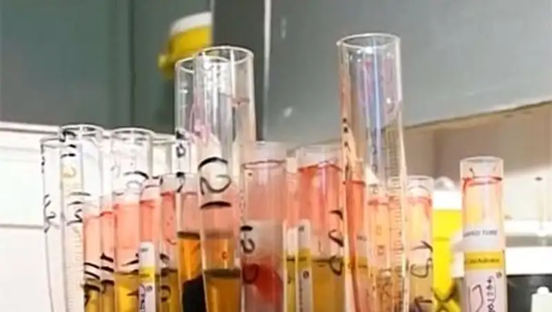 В Караганде свирепствует вирус