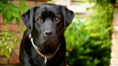 Unsplash, фото - Новости Zakon.kz от 11.09.2018 19:27