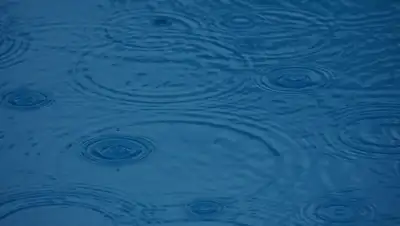 Pixabay, фото - Новости Zakon.kz от 21.07.2019 09:49