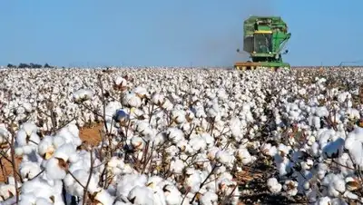 Zakon.kz, фото - Новости Zakon.kz от 06.10.2016 23:15