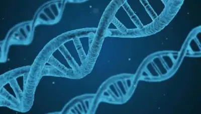 Pixabay, фото - Новости Zakon.kz от 12.12.2020 13:08