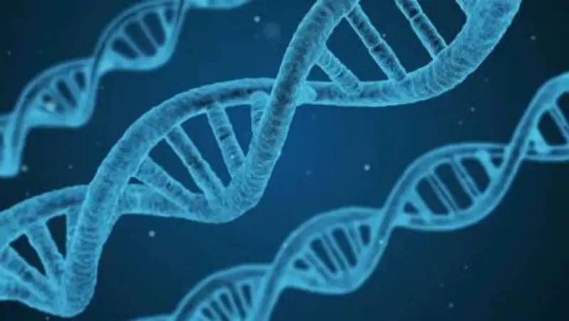 Ученые выявили гены, от которых зависит тяжесть болезни COVID-19