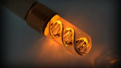 Amazon.com, фото - Новости Zakon.kz от 23.03.2019 14:50