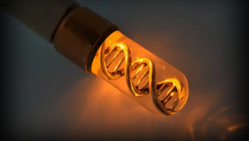 Создана ДНК-флэшка, способная хранить информацию тысячи лет