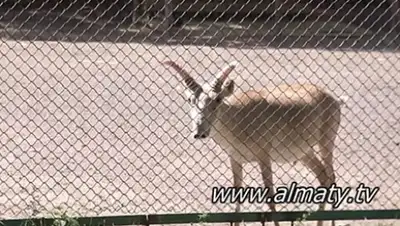 Zakon.kz, фото - Новости Zakon.kz от 09.09.2015 18:07