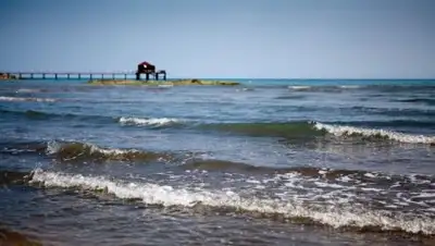 Novoye Vremya, фото - Новости Zakon.kz от 09.07.2018 18:16