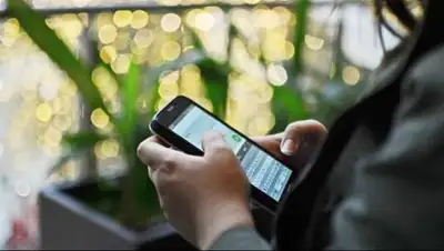 pixabay.com, фото - Новости Zakon.kz от 21.06.2021 11:41