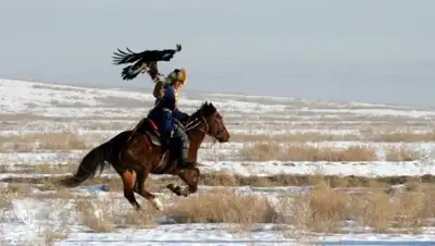 Pinterest, фото - Новости Zakon.kz от 10.02.2018 00:17