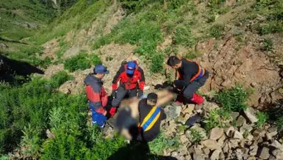 Zakon.kz, фото - Новости Zakon.kz от 25.07.2017 22:10