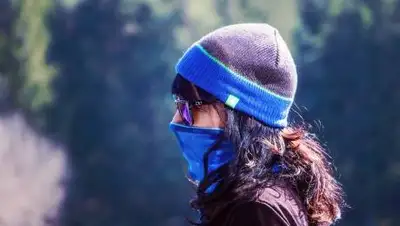 Pixabay, фото - Новости Zakon.kz от 27.10.2020 17:42