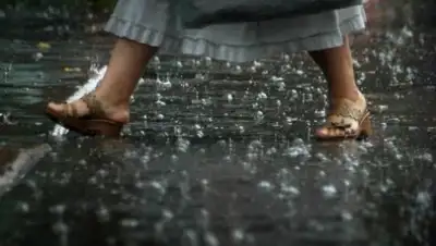 Zakon.kz, фото - Новости Zakon.kz от 17.08.2016 23:10