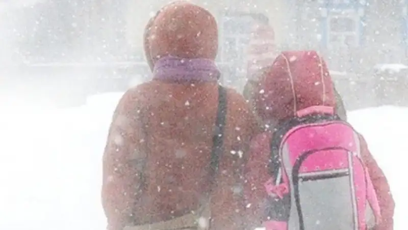 Занятия в школах и колледжах отменены в ВКО