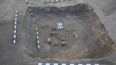 Zakon.kz, фото - Новости Zakon.kz от 24.10.2017 15:32