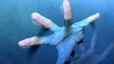 Zakon.kz, фото - Новости Zakon.kz от 07.06.2017 19:44