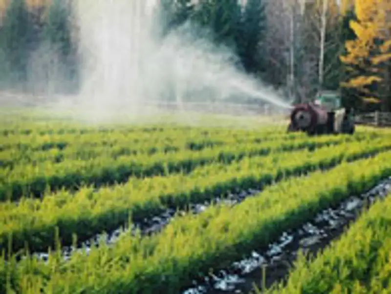 Правительством РК утверждены правила по воспроизводству лесов, фото - Новости Zakon.kz от 06.01.2012 17:40