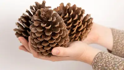 Zakon.kz, фото - Новости Zakon.kz от 17.03.2015 21:57