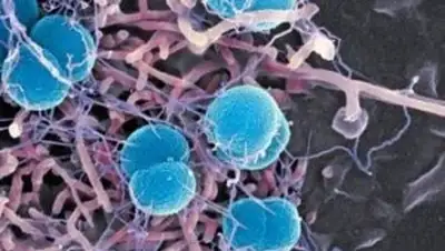 Zakon.kz, фото - Новости Zakon.kz от 06.10.2014 16:12