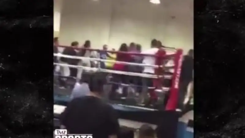 На юношеском турнире по боксу в США зрители устроили массовую драку