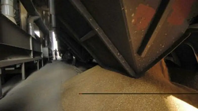 Четыре костанайских элеватора оштрафованы за необоснованное увеличение цен на свои услуги