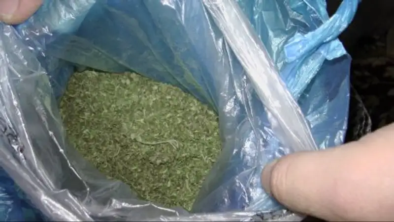 В Кокшетау наркоборцы выявили "яму", находящуюся между школой и детским садом