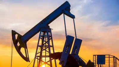 LiveJournal, фото - Новости Zakon.kz от 23.10.2018 07:29