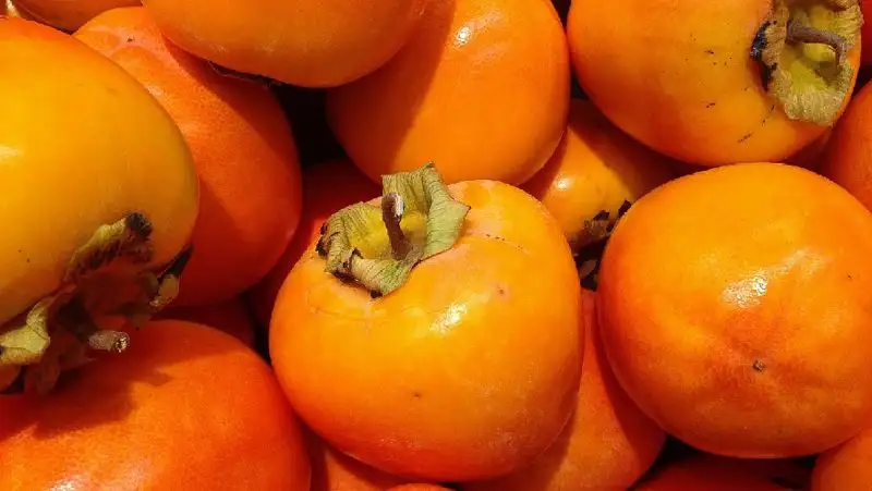 Диетолог рассказала, как нужно питаться зимой