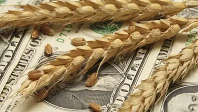 Zakon.kz, фото - Новости Zakon.kz от 27.10.2014 20:32