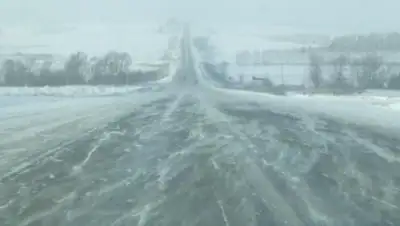 Zakon.kz, фото - Новости Zakon.kz от 19.12.2016 21:33