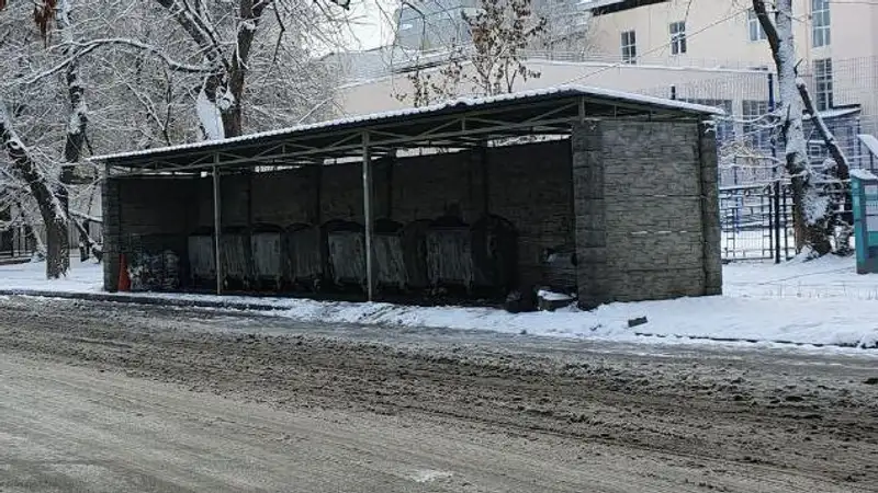 В Усть-Каменогорске живую кошку в завязанном пакете выбросили в мусорный бак