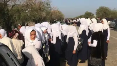 Пресс-служба управление образования Туркестанской области, фото - Новости Zakon.kz от 07.09.2018 15:12