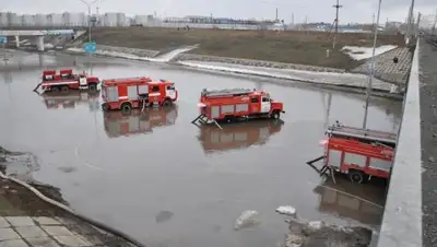 Zakon.kz, фото - Новости Zakon.kz от 07.04.2016 16:30