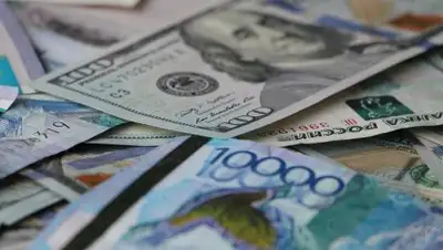 Zakon.kz, фото - Новости Zakon.kz от 09.02.2017 17:33