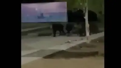 Кадр из видео, фото - Новости Zakon.kz от 21.09.2020 15:23