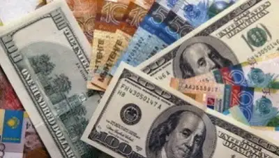 Zakon.kz, фото - Новости Zakon.kz от 13.05.2015 19:59