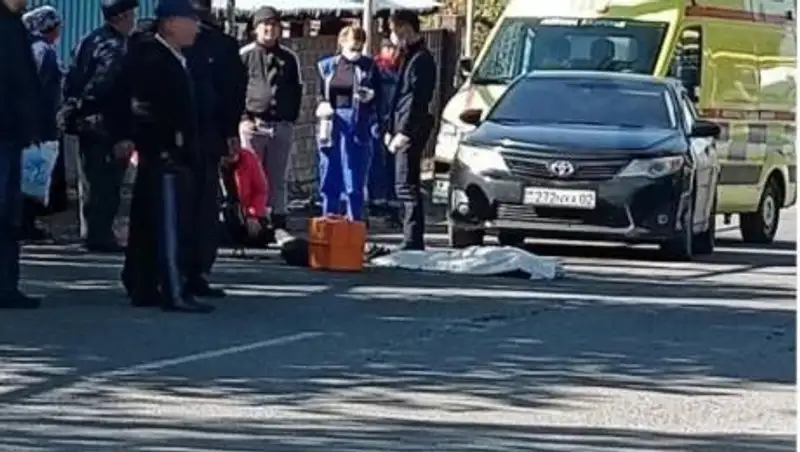 Восьмилетний мальчик испугался собаки и попал под колеса в Алматинской области