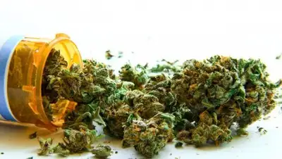 Zakon.kz, фото - Новости Zakon.kz от 09.02.2017 18:37