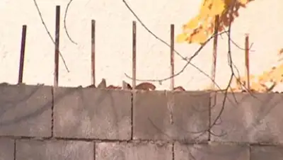 Zakon.kz, фото - Новости Zakon.kz от 03.11.2016 19:16