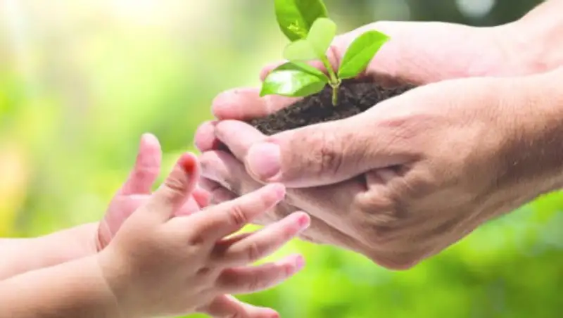 2021 год предложили объявить годом экологии в Казахстане