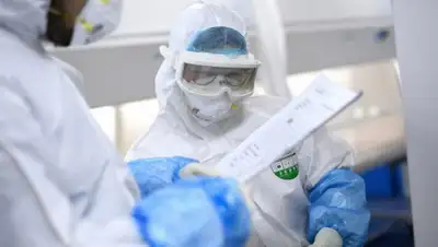 bangkokpost.com, фото - Новости Zakon.kz от 21.06.2020 08:01