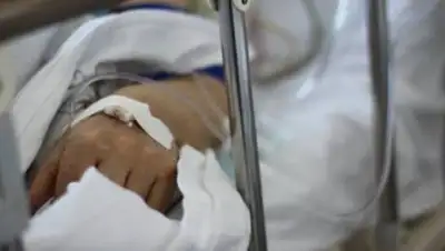 liter.kz, фото - Новости Zakon.kz от 26.02.2021 09:19