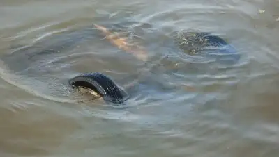 Zakon.kz, фото - Новости Zakon.kz от 26.10.2017 17:21