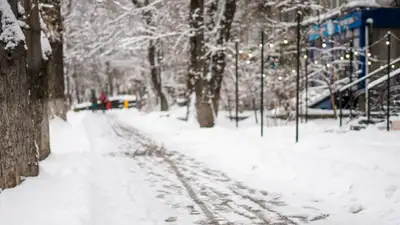 Досаев про уборку снега в Алматы: Держу на постоянном контроле 