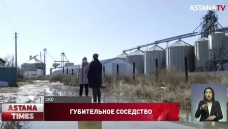 "Живем с крысами и дышим ядом" - сельчане о невыносимом соседстве с элеватором в СКО