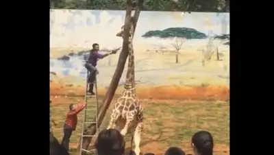 Скриншот с видео, фото - Новости Zakon.kz от 18.04.2018 01:09