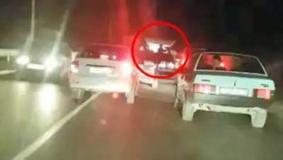 Zakon.kz, фото - Новости Zakon.kz от 07.09.2016 20:48