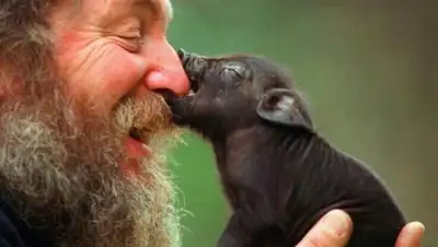 Zakon.kz, фото - Новости Zakon.kz от 02.10.2015 19:21