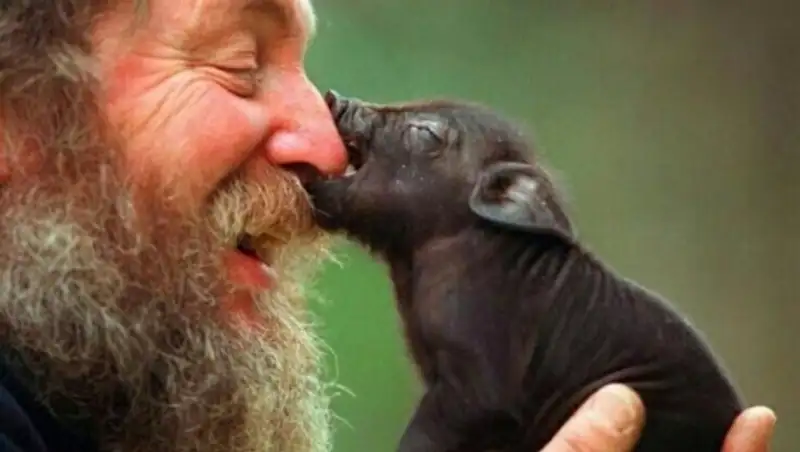 Берегите в себе человека