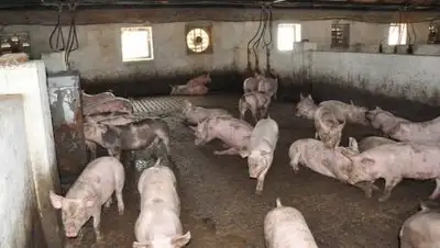 InVenture, фото - Новости Zakon.kz от 23.11.2020 22:59