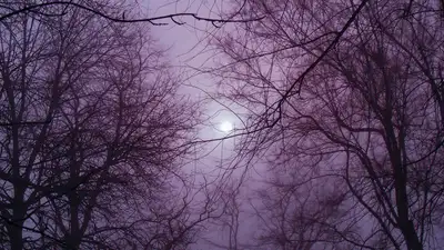 В Алматы и Актобе ожидаются неблагоприятные метеоусловия, фото - Новости Zakon.kz от 09.01.2023 06:55